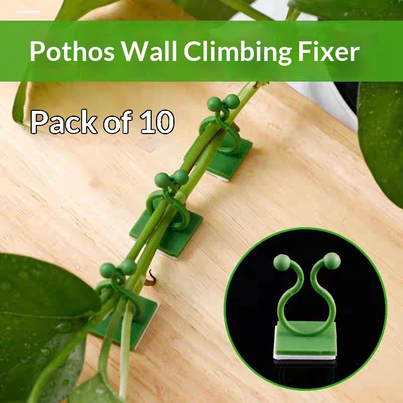 Indoor Herb Garden - مشابك تثبيت النباتات المتسلقة ذاتية اللصق