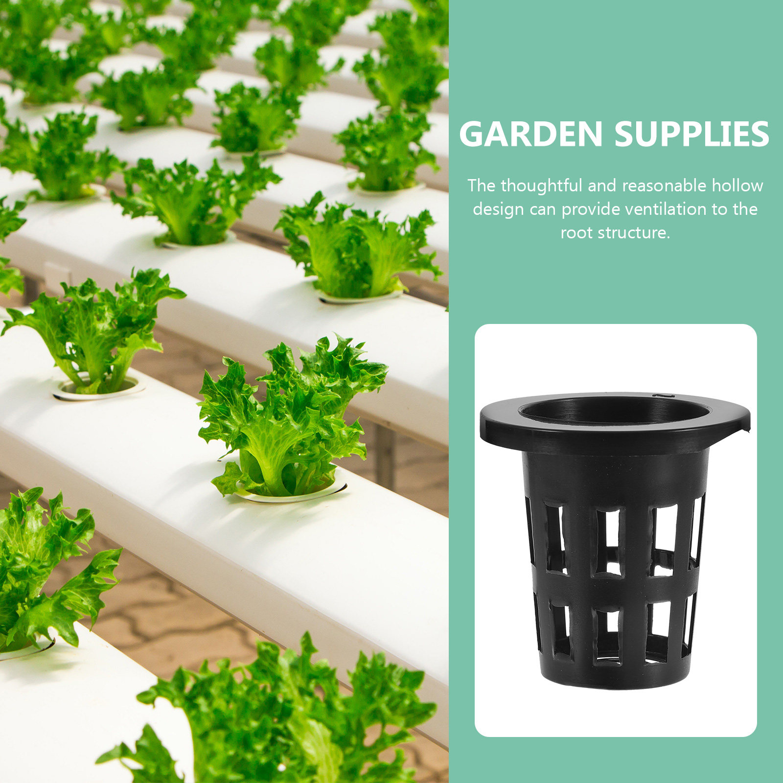 50 قطعة من سلال الزراعة البلاس - مراجعة Plant Pot وسعره