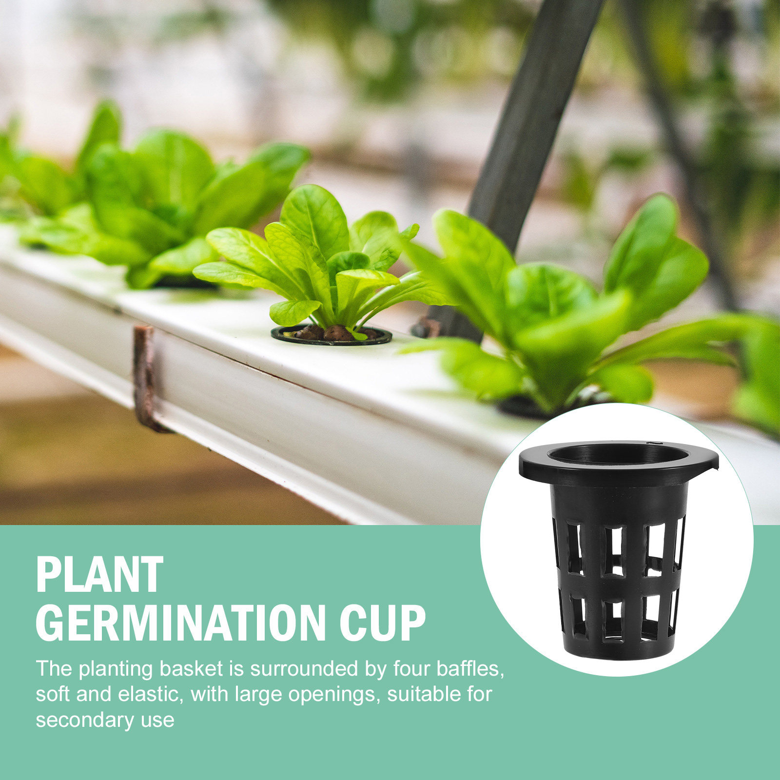 50 قطعة من سلال الزراعة البلاس - مراجعة Plant Pot وسعره