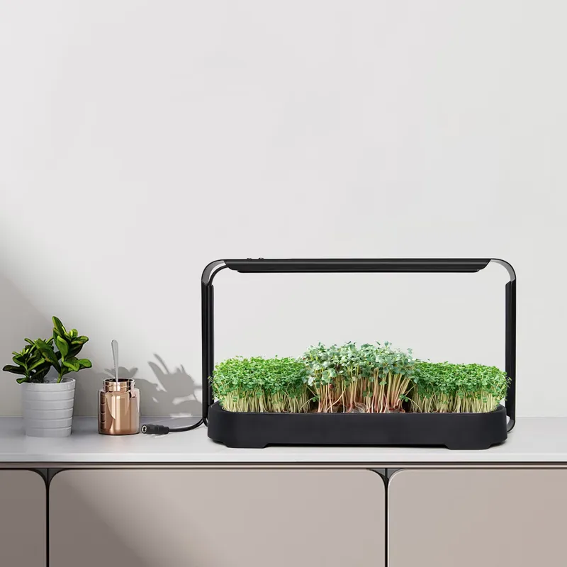 نظام زراعة ميكروجرينز هيدروبون - مراجعة Self Watering Planter وسعره