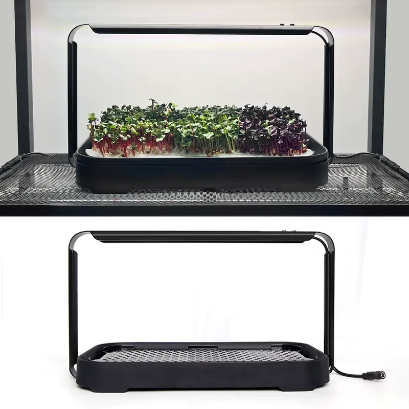 نظام زراعة ميكروجرينز هيدروبون - مراجعة Self Watering Planter وسعره