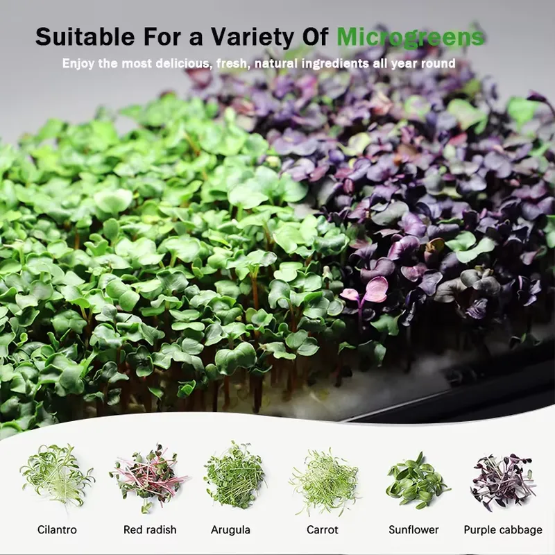نظام زراعة ميكروجرينز هيدروبون - مراجعة Self Watering Planter وسعره