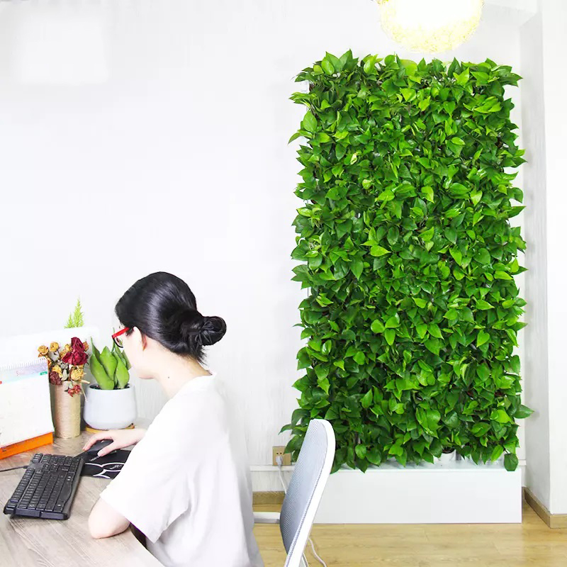 نظام زراعة مائية داخلي بمساحة  - مراجعة Hydroponic Kit وسعره