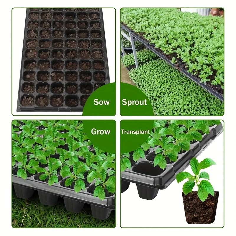 صينية زراعة 10-20، صينية إنبات - مراجعة Seed Starter Tray وسعره