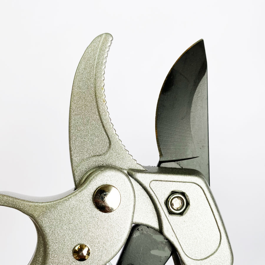 مقص تقليم احترافي وأدوات تطعيم - مراجعة Pruning Shears وسعره