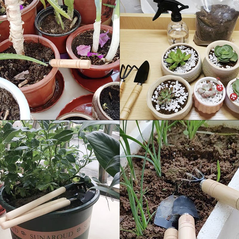 3 قطعة/1 مجموعة أدوات البستنة  - مراجعة Indoor Herb Garden وسعره