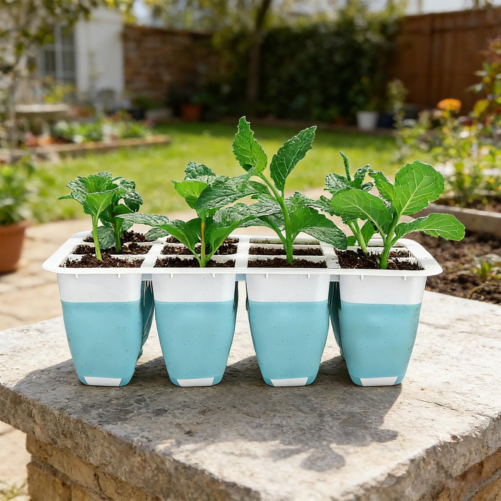 مجموعة من 5 صواني سيليكون لبدء - مراجعة Seed Starter Tray وسعره