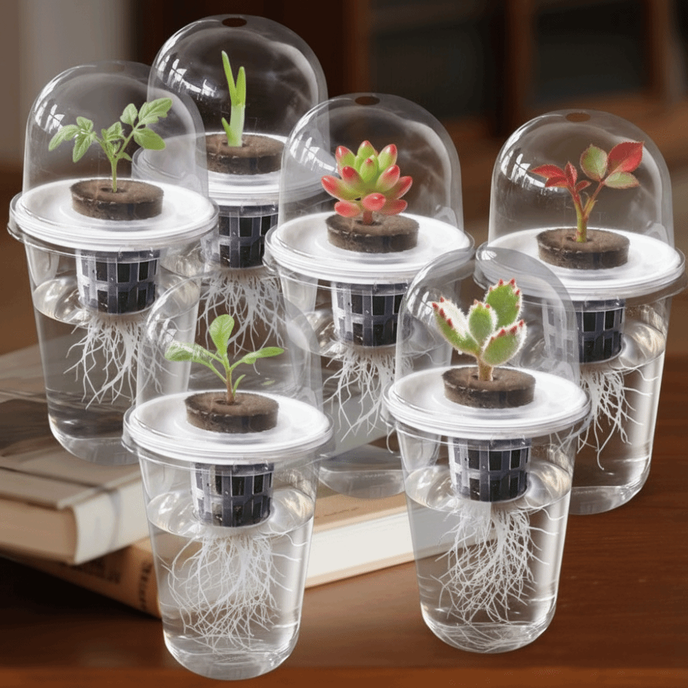 1-5 قطع أكواب شفافة لنمو النبا - مراجعة Seed Starter Tray وسعره
