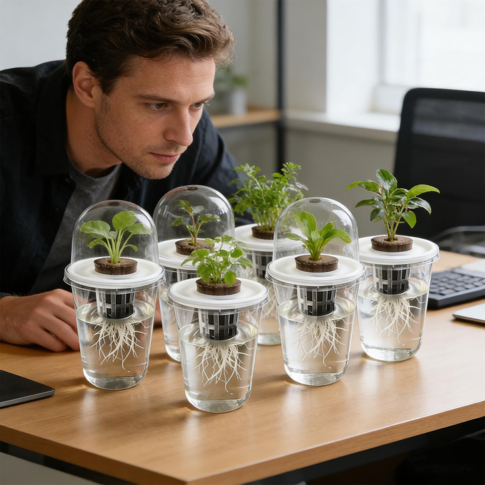 1-5 قطع أكواب شفافة لنمو النبا - مراجعة Seed Starter Tray وسعره