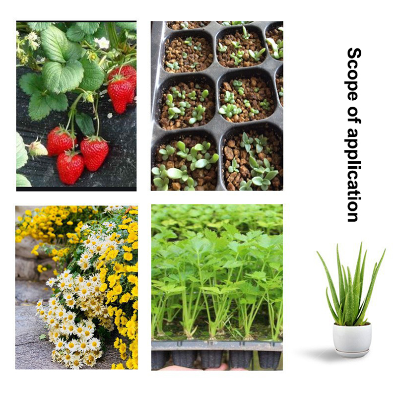 صواني شتلات بلاستيكية سوداء (1 - مراجعة Seed Starter Tray وسعره