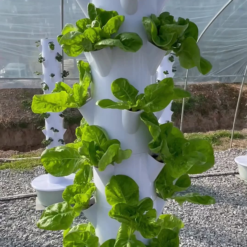 مع Led تنمو ضوء شجرة الفضاء بر - مراجعة Vertical Planter وسعره