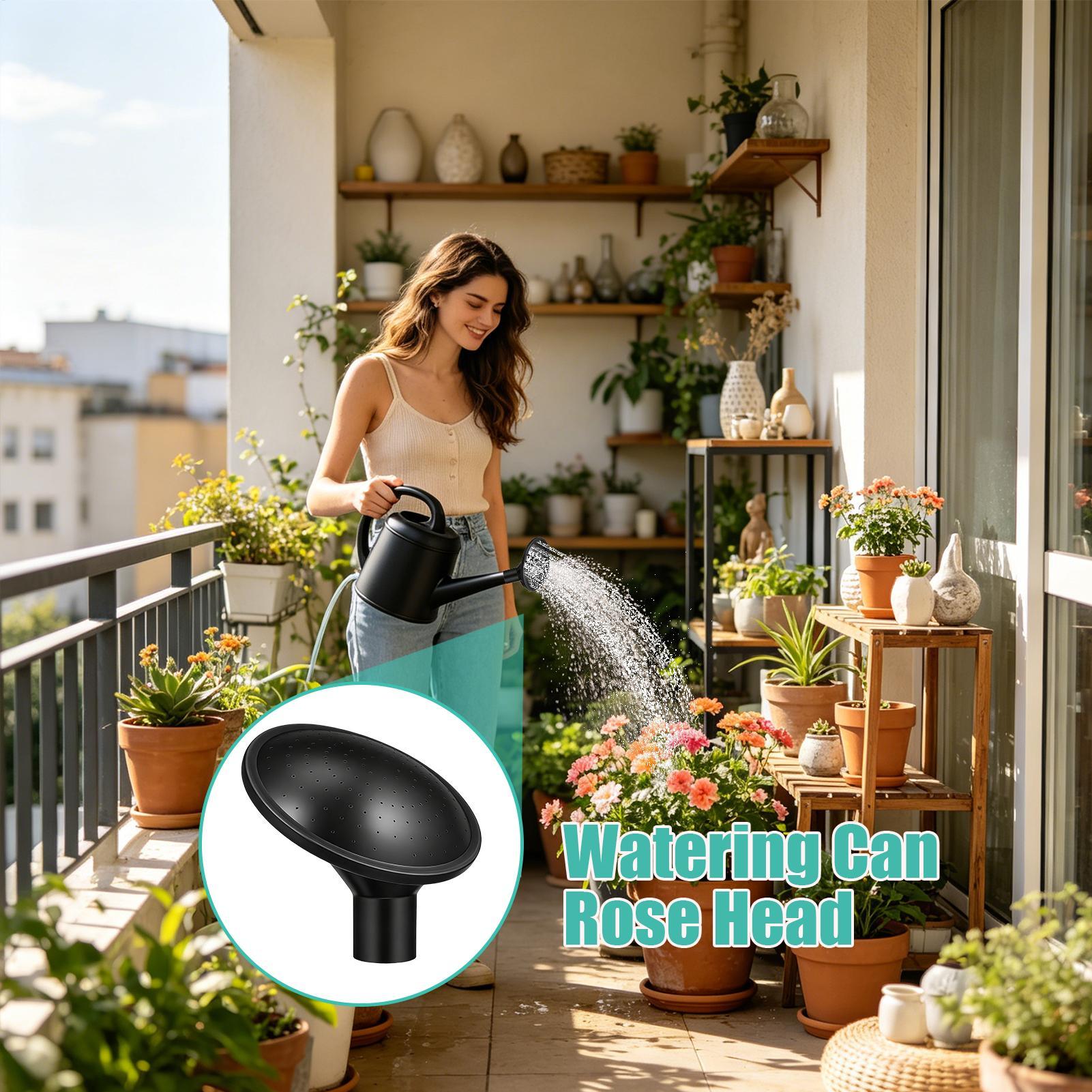 قطعتان، لون أسود، قطر داخلي 2. - مراجعة Watering Can وسعره
