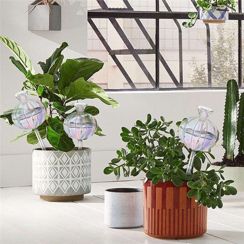AA94-مصابيح سقي النباتات، كرات - مراجعة Self Watering Planter وسعره