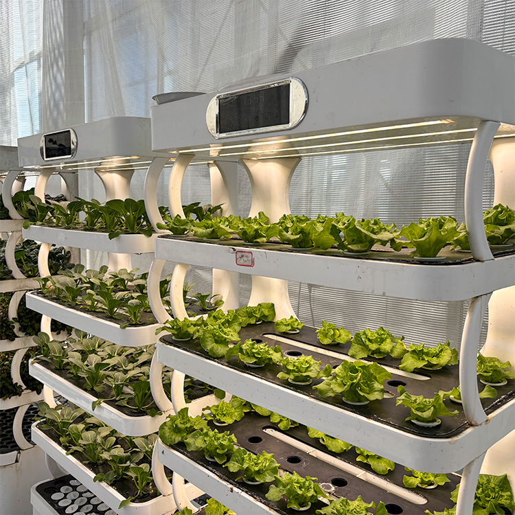 حوض زراعة ذكي للاستخدام الداخل - مراجعة Grow Light Led وسعره