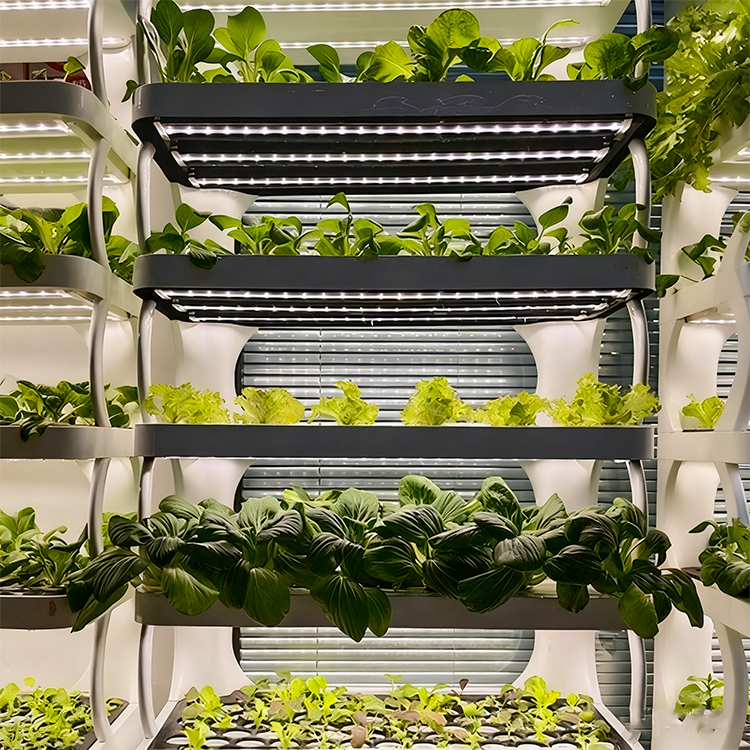 حوض زراعة ذكي للاستخدام الداخل - مراجعة Grow Light Led وسعره